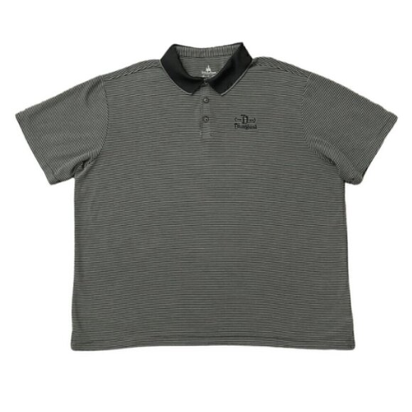 Disney Parks Polo Shirt Collar Stripes Embroidered Logo Men's S - Picture 1 of 5